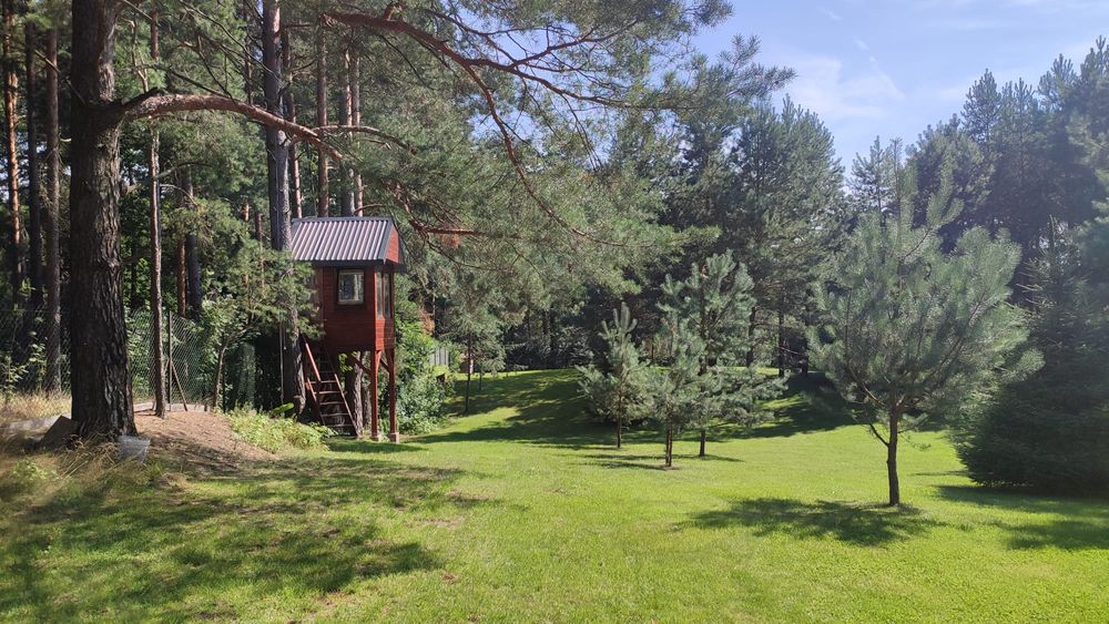 Domek u Zbycha, noclegi Płaska ok. Augustowa