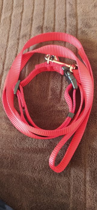 Ошейник для собаки