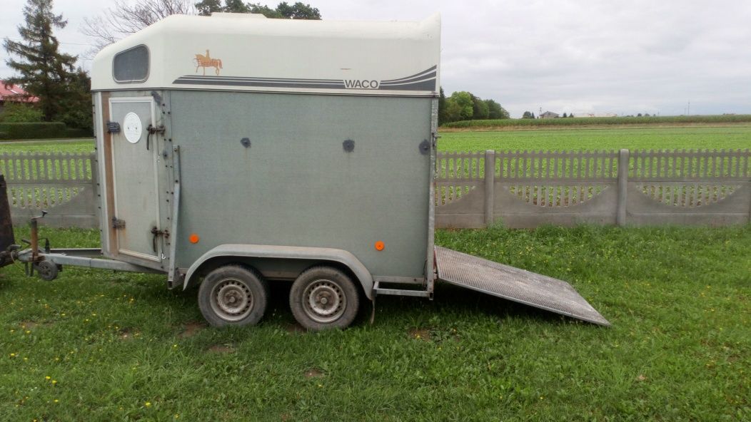 Wypożycze przyczepa przyczepka do zwierząt koni bydła na B transport