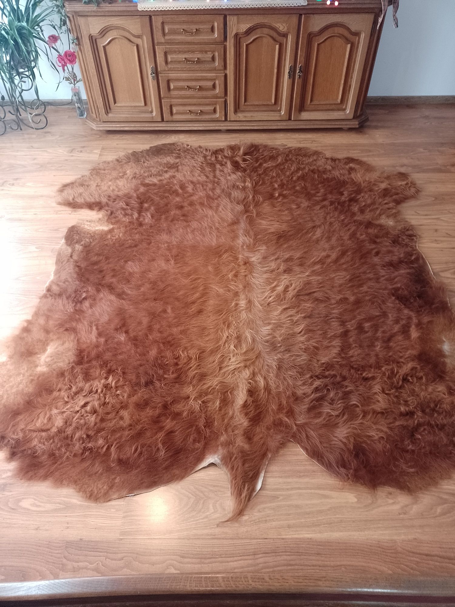 Skóra bydlęca highland cattle