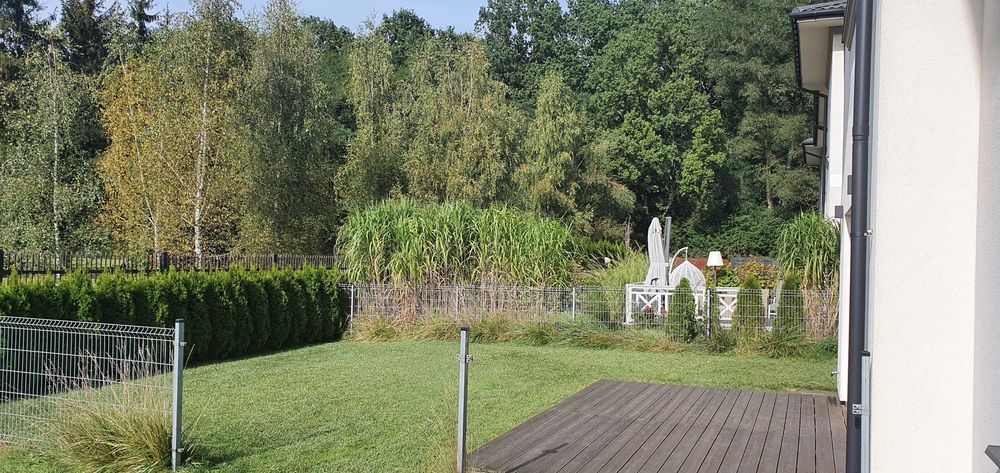 Bezpośrednio wynajmę dom z ogrodem i furtką do lasu Kabackiego