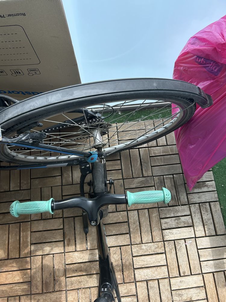 Rowerek biegowy cariboo magnesium pro