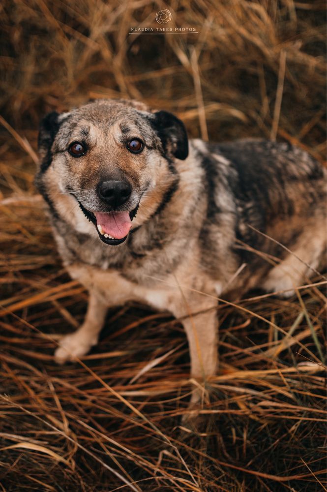 Olka wróciła po 8 latach z adopcji…