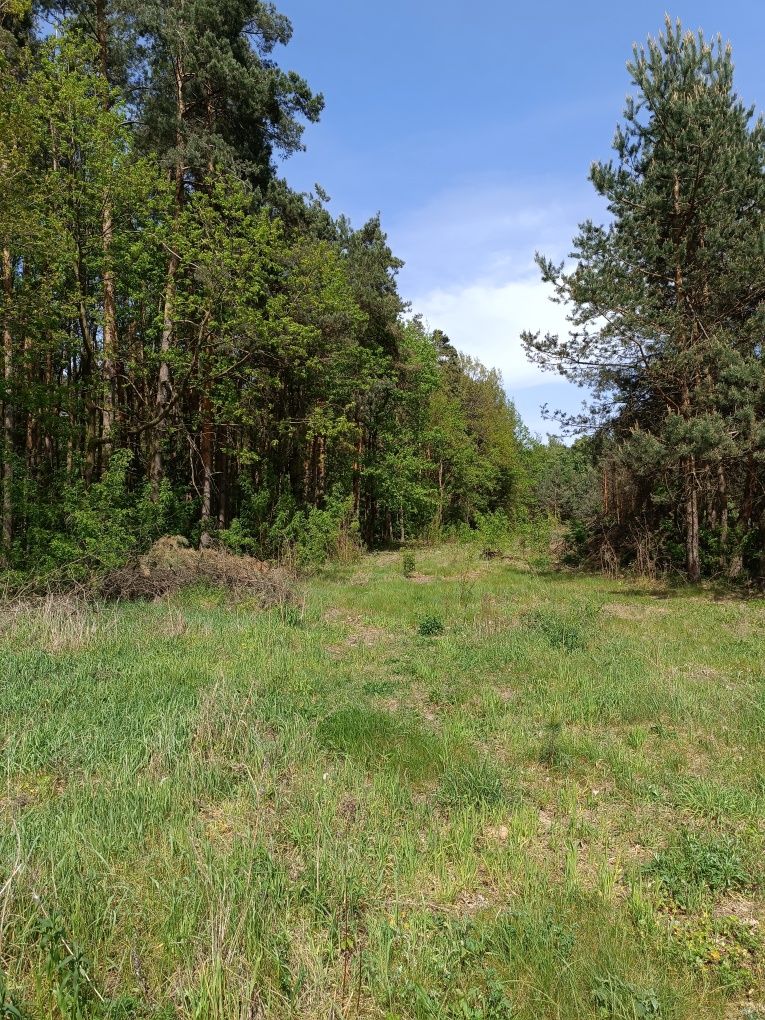 Działka budowlana rolna leśna Radom numer 84/4