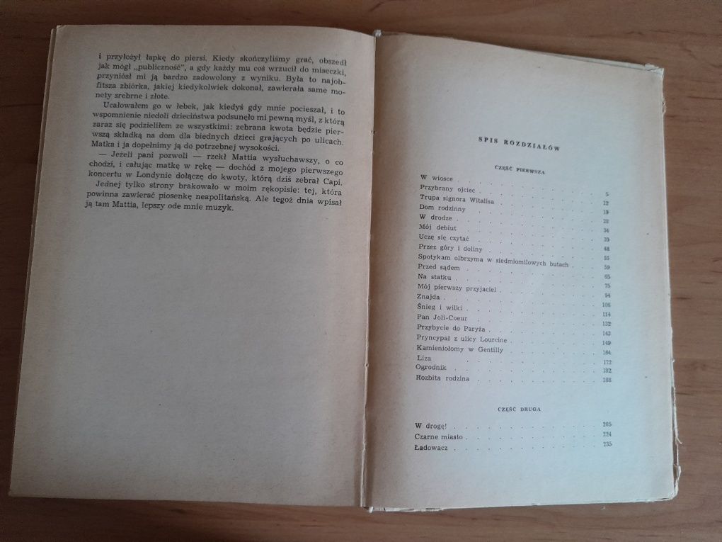 Powieść " Bez rodziny" H.Malot