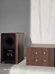 Dynaudio emit 10