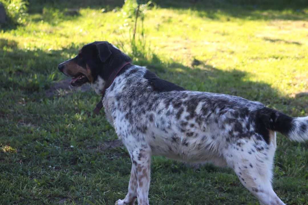 MAX czeka na Ciebie