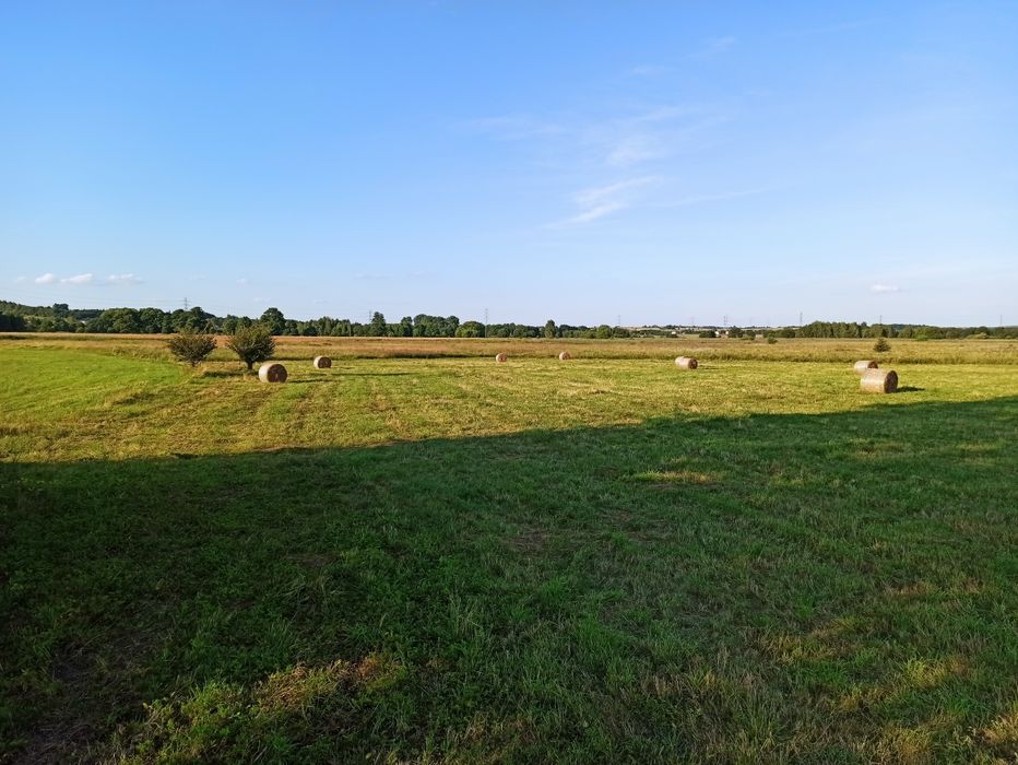 Siano baloty suche i pachnące