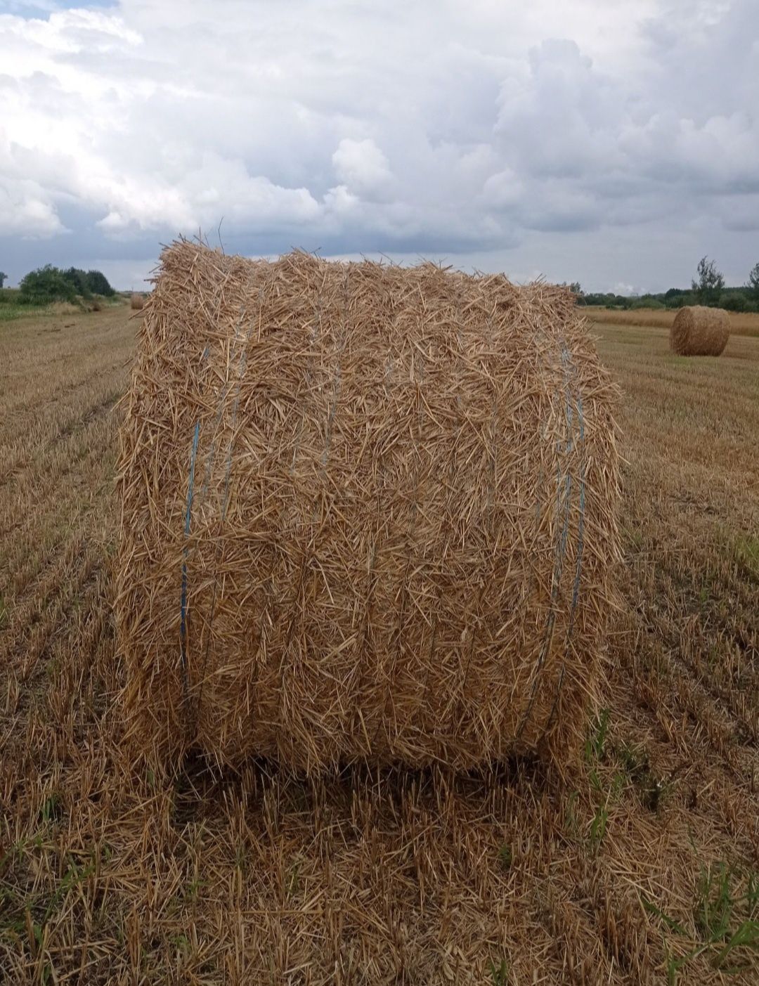 Sprzedam słomę w belach