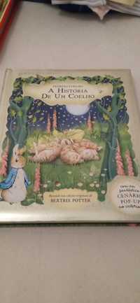 Livro infantil a história de um coelho