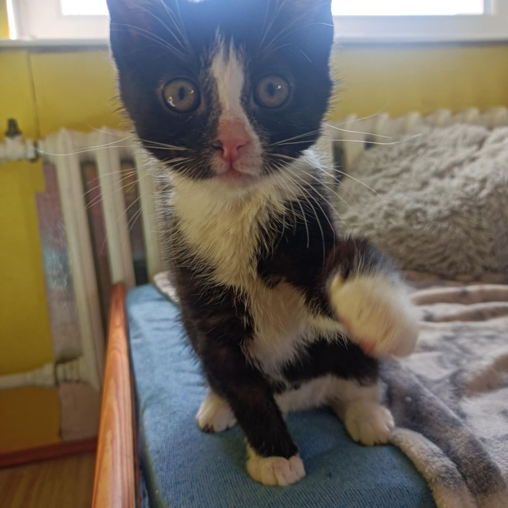 Hej mamo! Kiedy mnie adoptujesz?