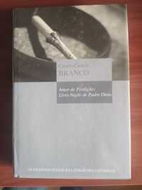 Camilo Castelo Branco, Amor de Perdição e Livro Negro do Padre Dinis