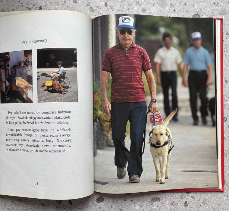 Psy Dziecięca Biblioteka Przyrody Album ilustrowany