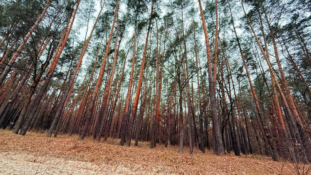 Продаж масиву землі під ЗАБУДОВУ біля Житомирської траси!