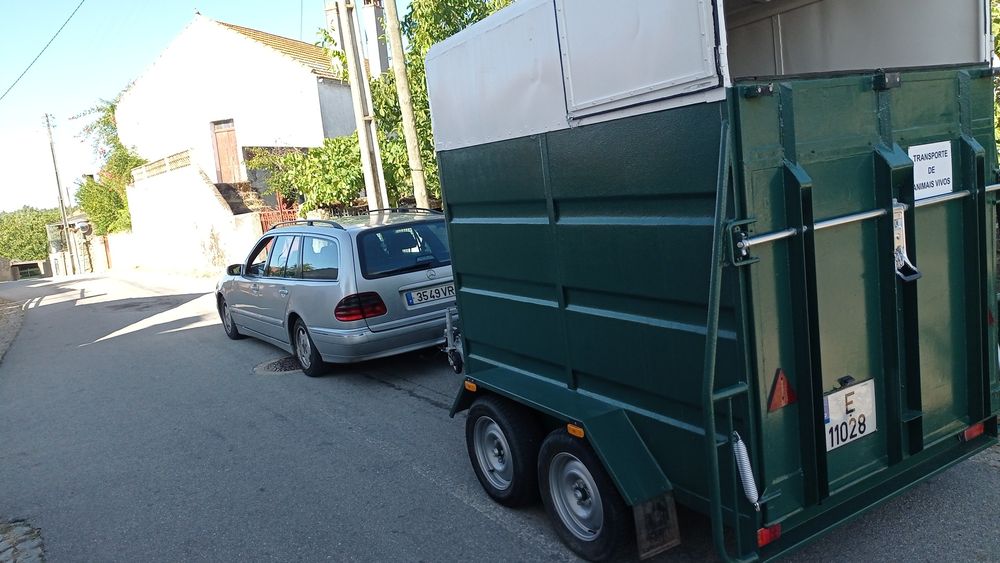 Relote de 2 cavalos