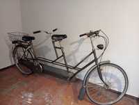 Rower tandem Gazelle