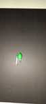 Led pesca noturna