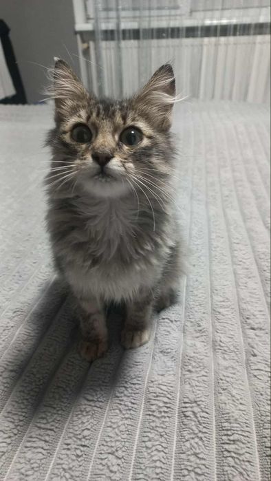 Дівчинка підліток в хороші руки