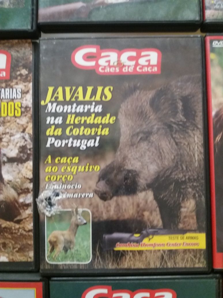 18 DVD'S Caça- Cães de Caça