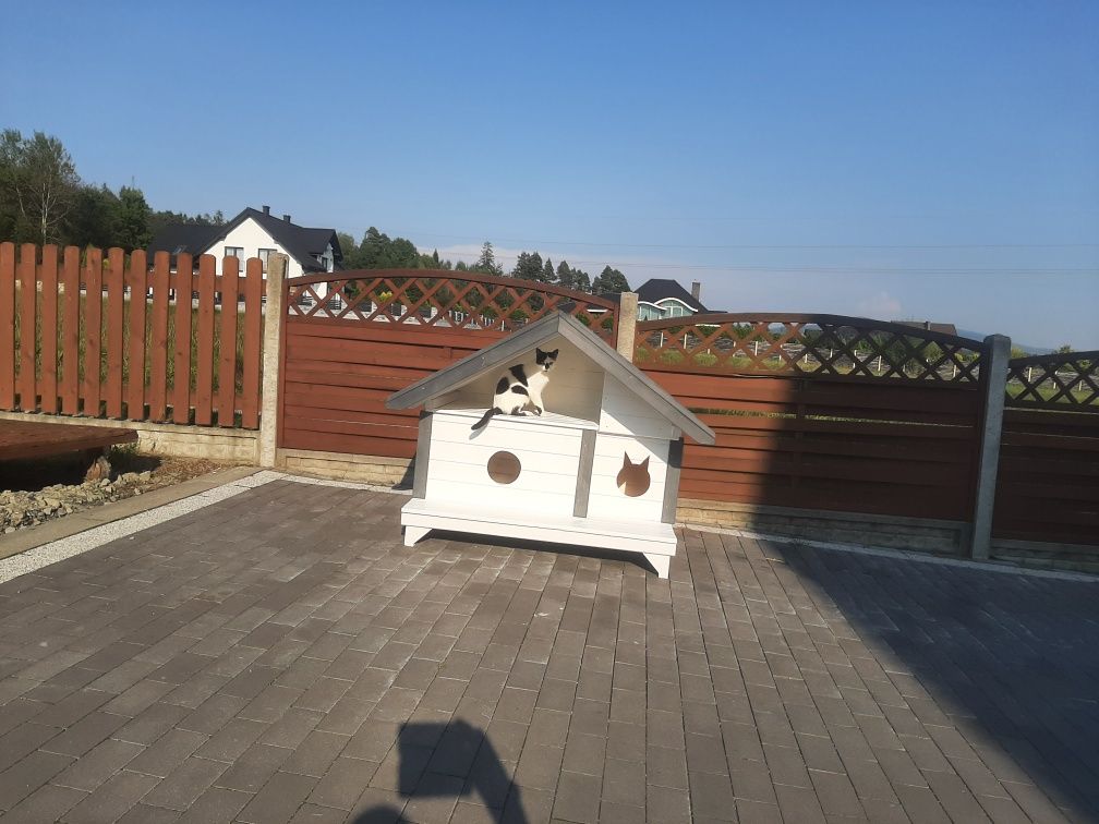 Buda dla dwóch kotów