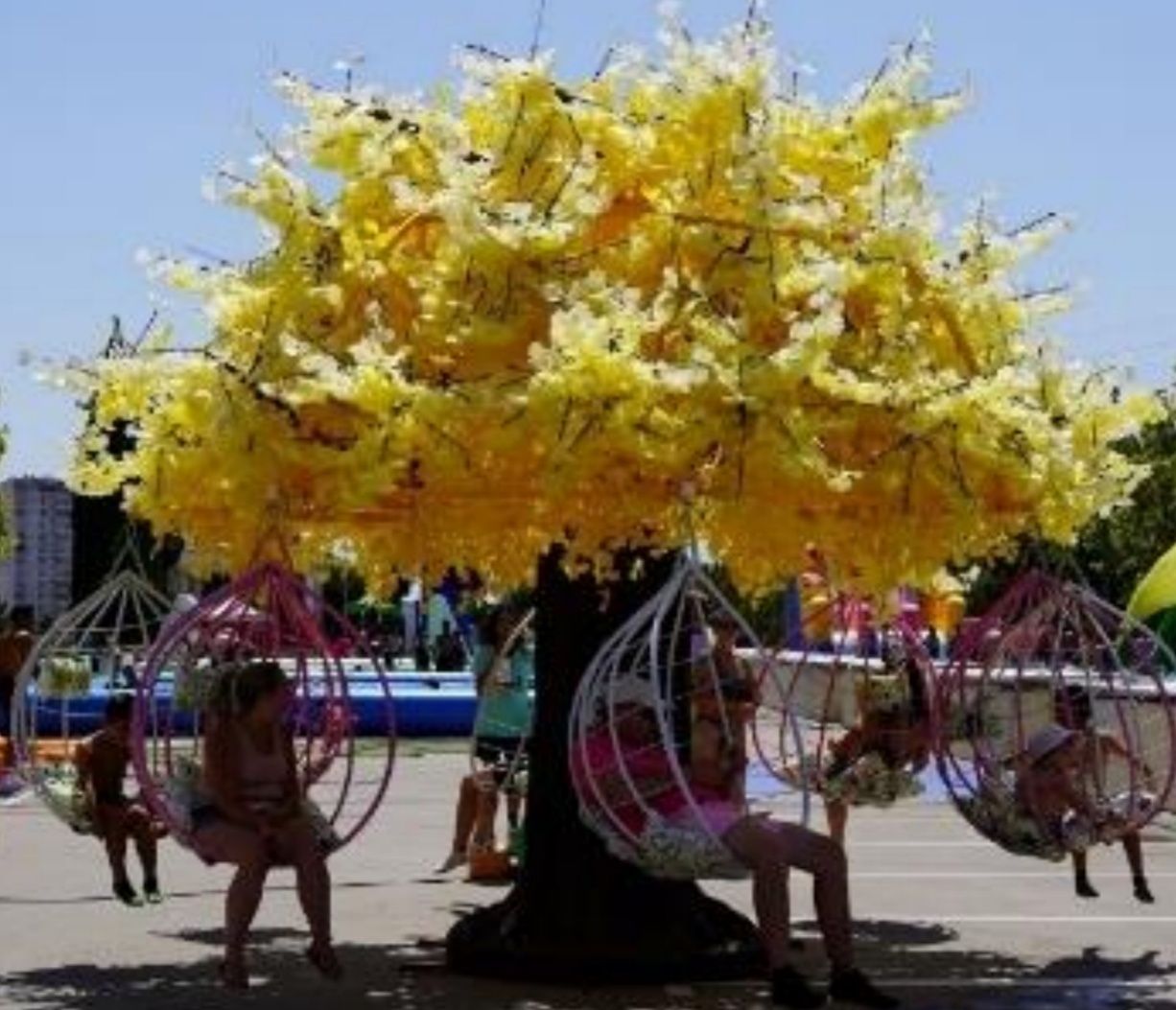 Carrossel Árvore da Paixão