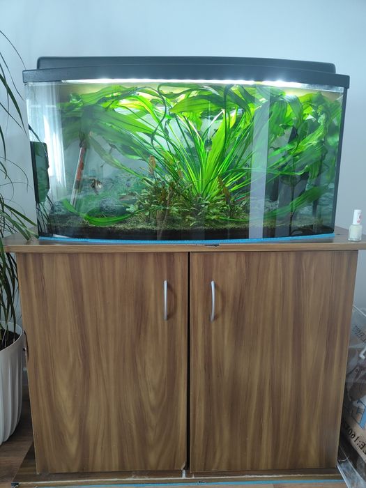 Akwarium z szafką i filtrami