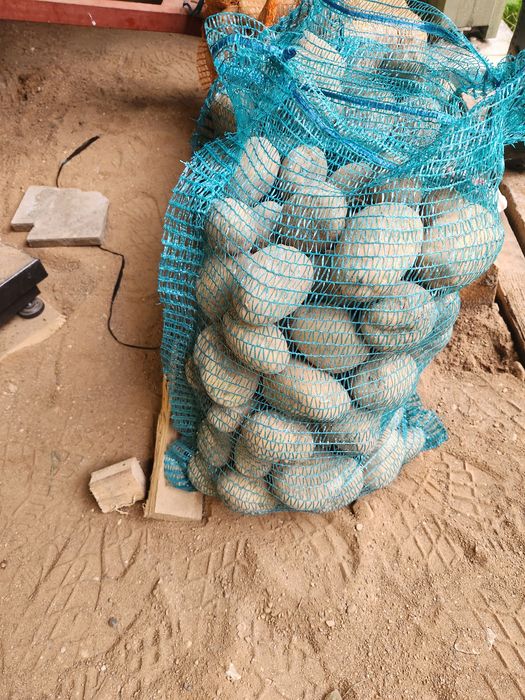 Ziemniaki Jurek i Ignacy 15kg