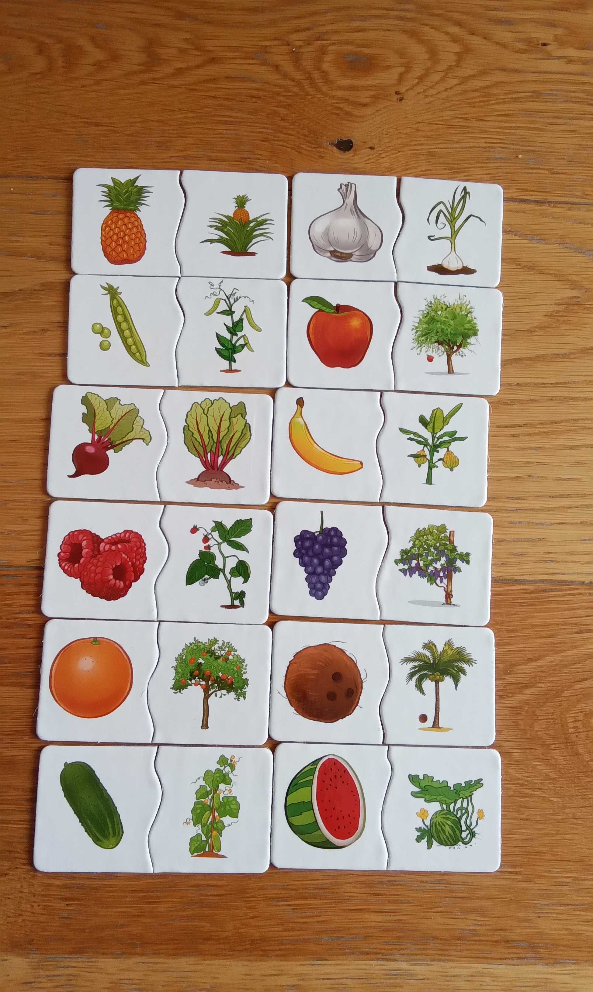 Alexander gra edukacyjna puzzle warzywa i owoce
