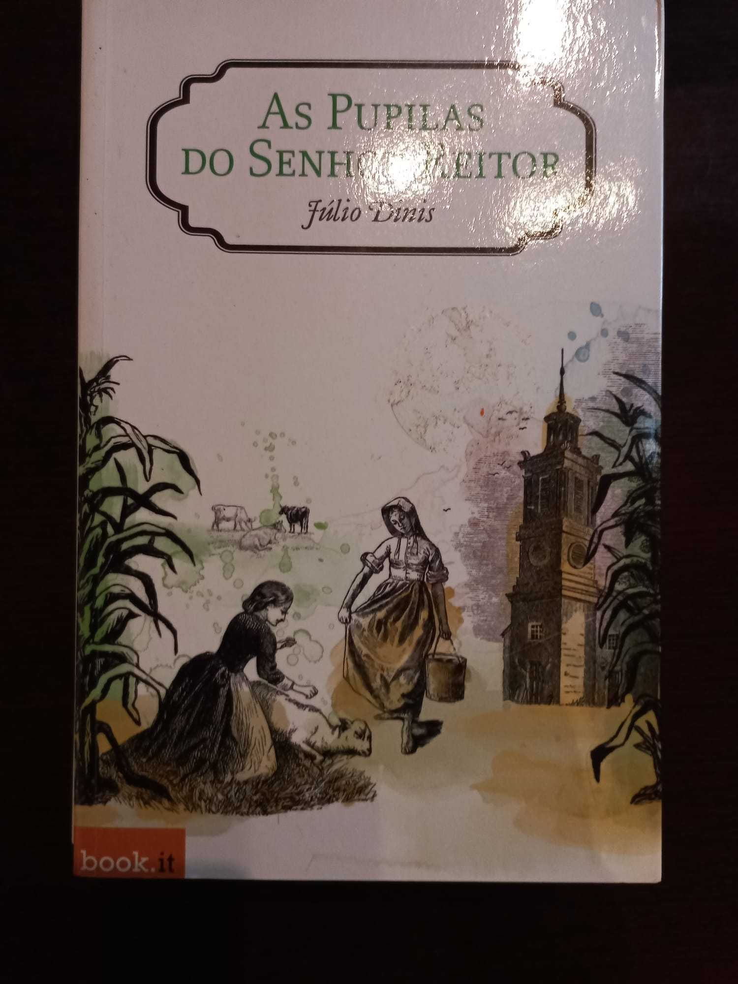 As pupilas do senhor reitor - Júlio Dinis