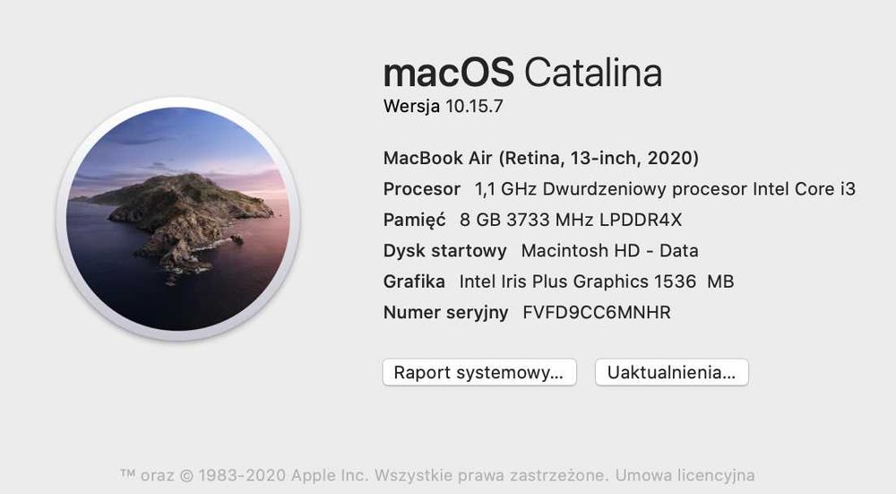 Laptop Apple Macbook Air A2179 13,3” 8/256Gb 2020r Rose Gold