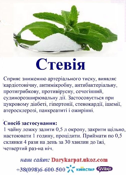Стевия стевія медова трава
