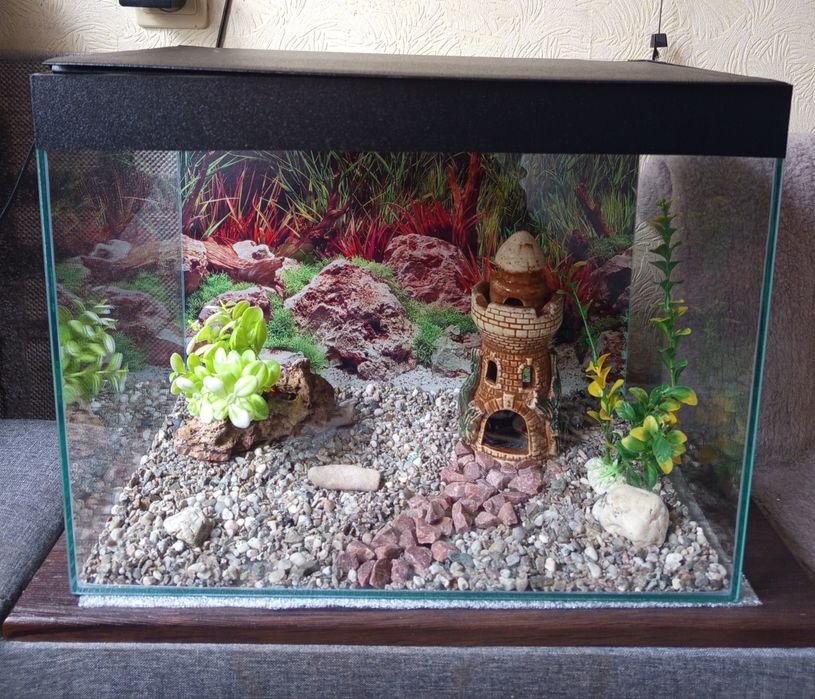 Аквариумы 40 л.со всем необходим