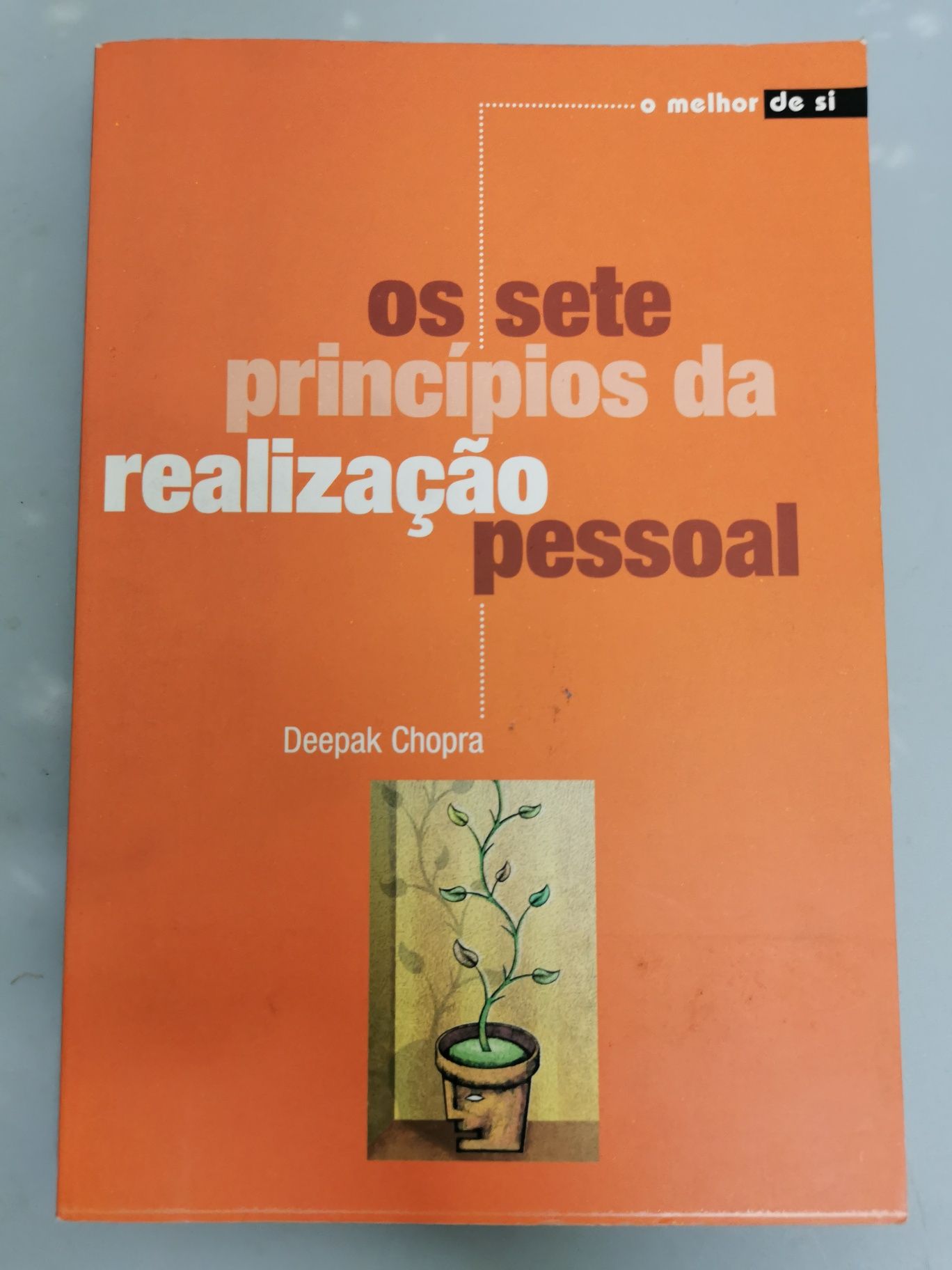 Os sete primeiros da realização pessoal