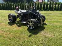 Quad 250 homologacja