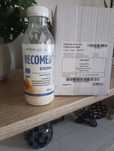 Recomed  drink smak brzoskwinia