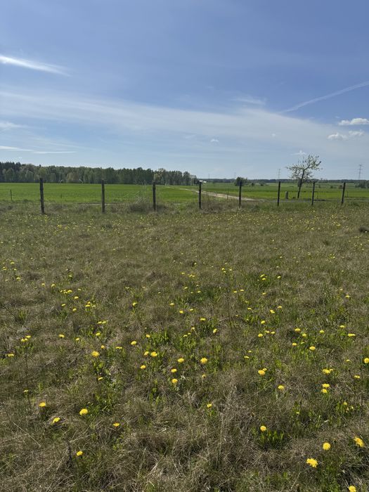 Atrakcyjna działka BOROWSKIE GZIKI z możliwością budowy domu