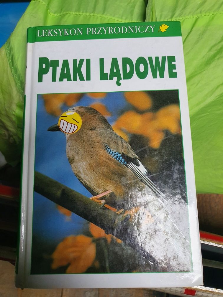 Ptaki lądowe leksykon przyrodniczy