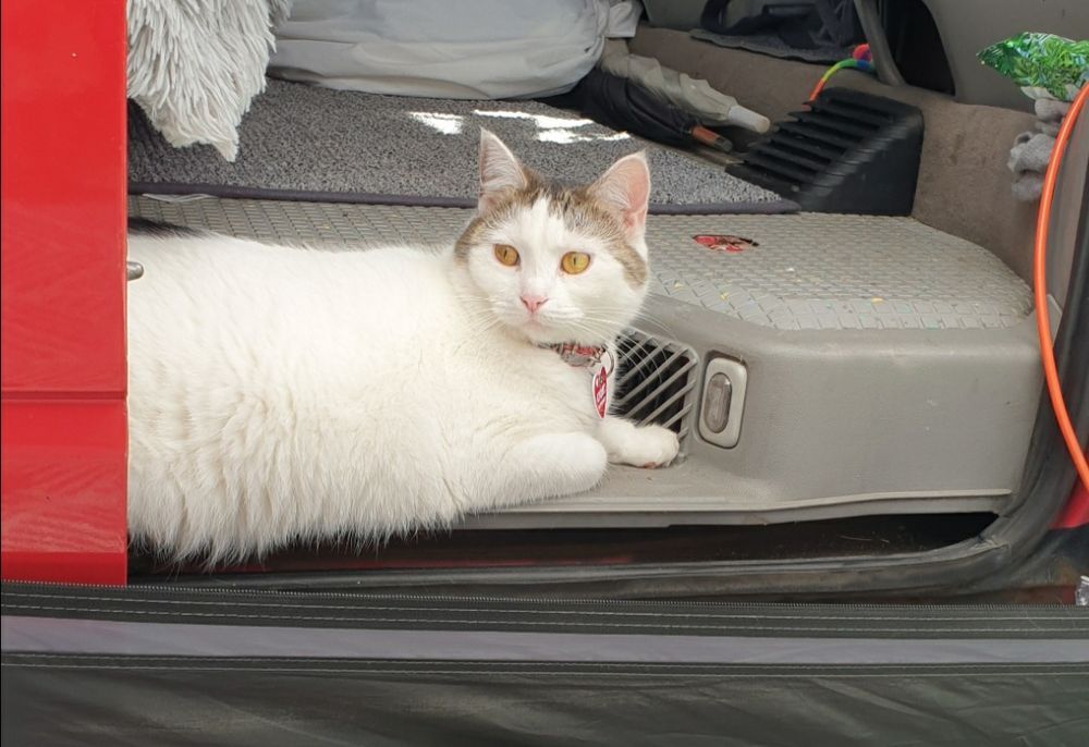 Lampka oświetlenia progu,schodka, bagażnik vw t4(transporter,m