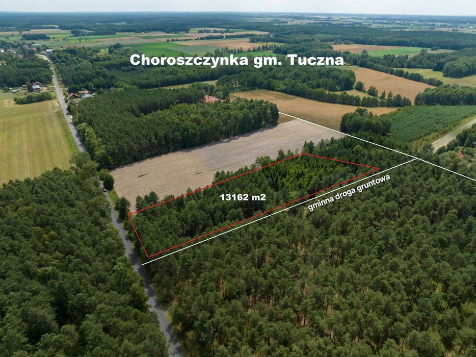 1,3162 ha działka budowlana z lasem w cichej i spokojnej lokalizacji