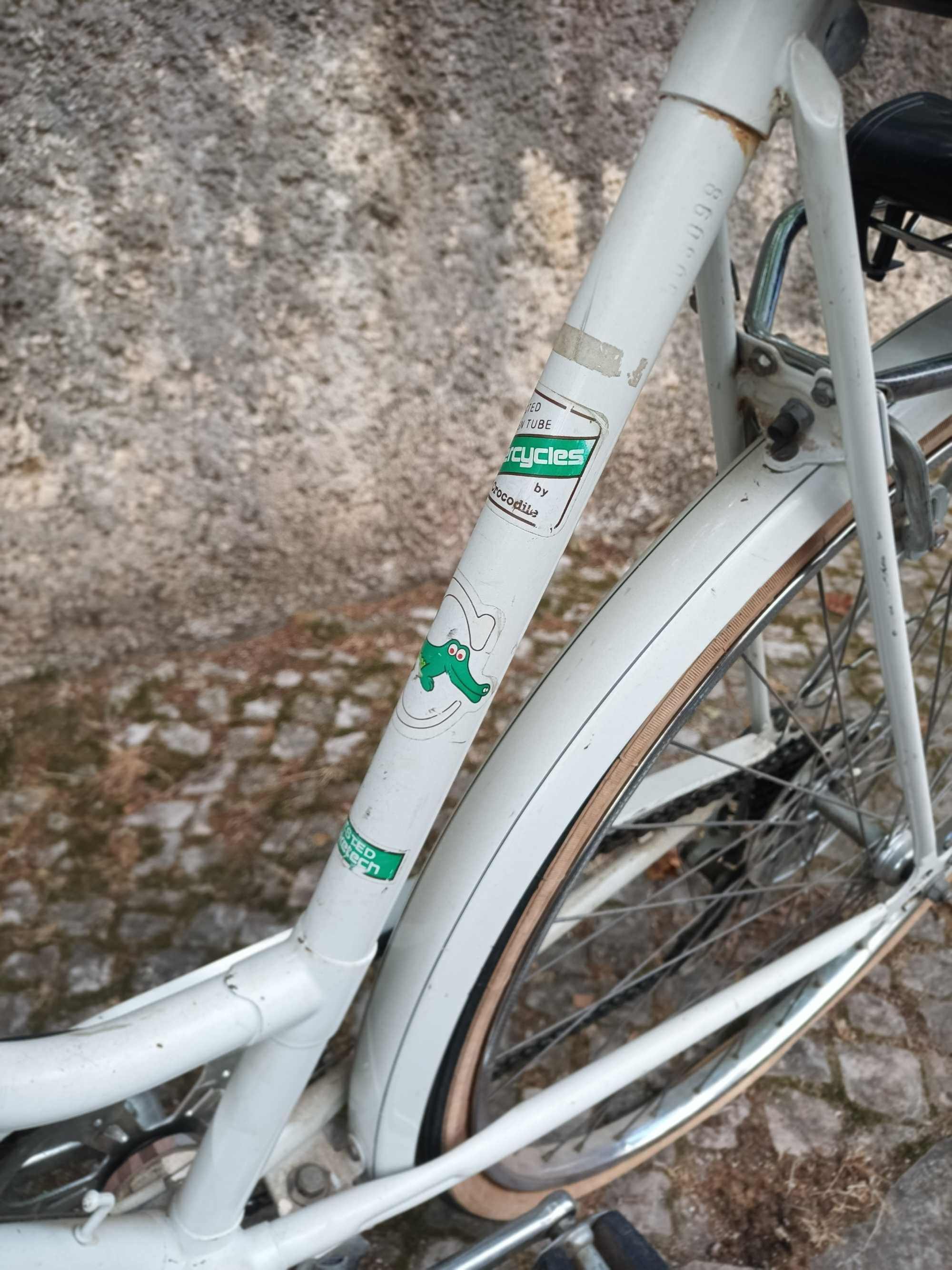 Bicicleta vintage senhora