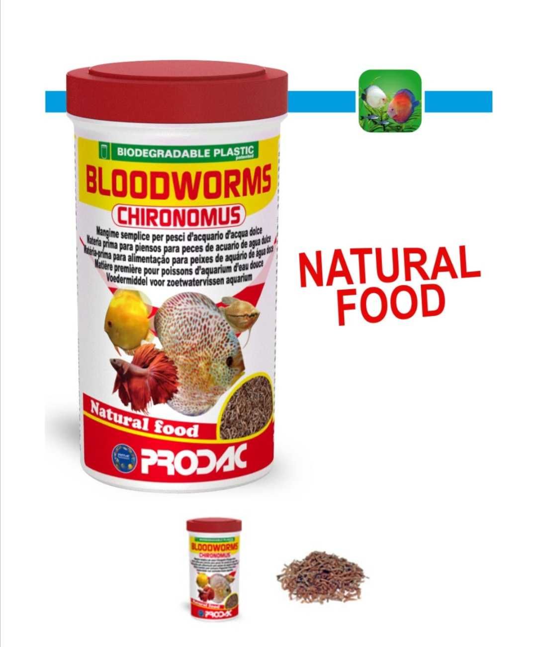 Bloodworms larva de mosquito alimentação para peixes tropicais