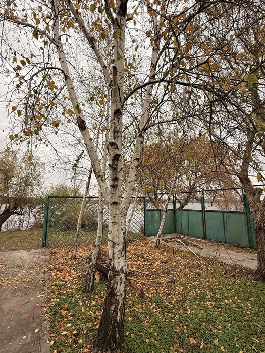 Дом в Ямбурге со своим берегом