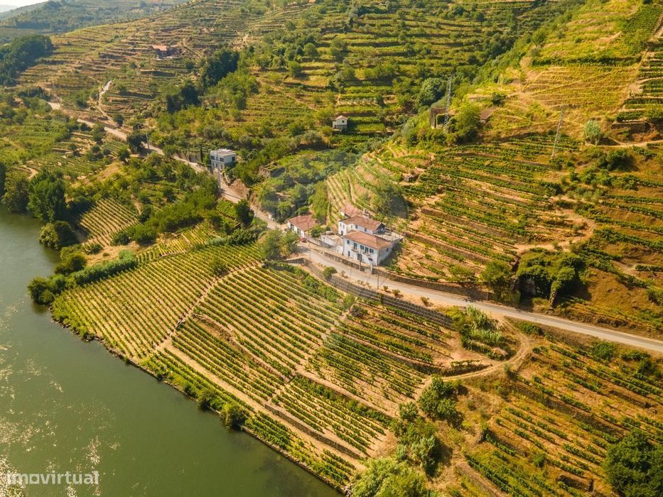 Quinta T8 para venda