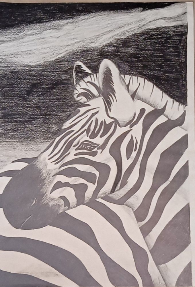 Quadro Zebra pintado