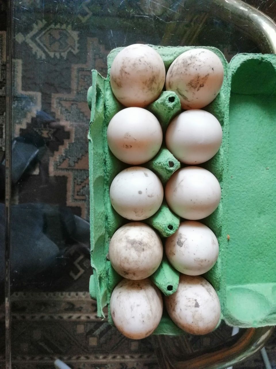 Jajka lęgowe kaczki staropolskie i francuskie piżmowe