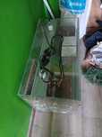 Sprzedam Terrarium