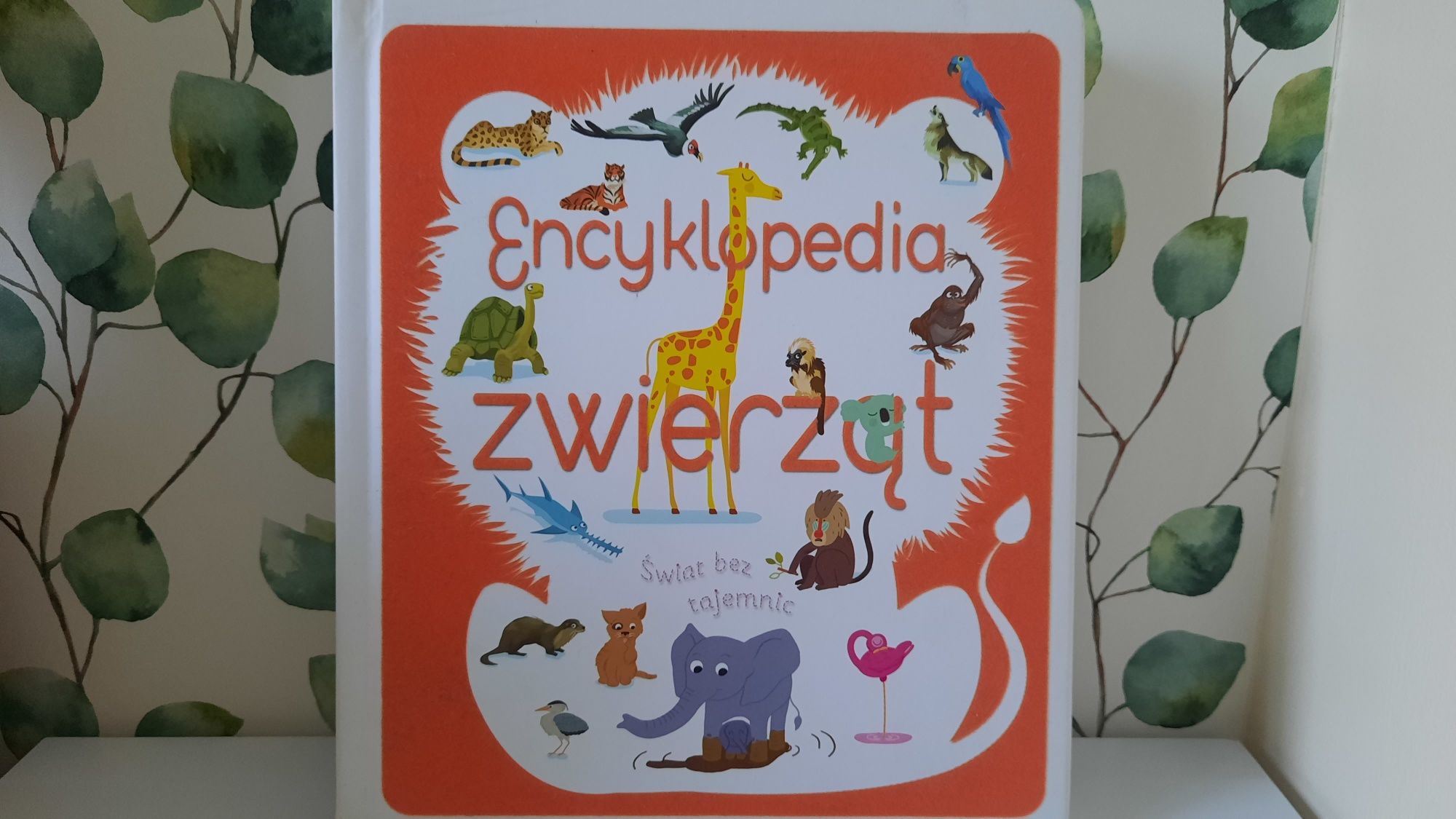 Encyklopedia zwierząt Wydawnictwo Olesiejuk
