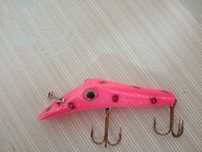 Vendo Amostras de Pesca