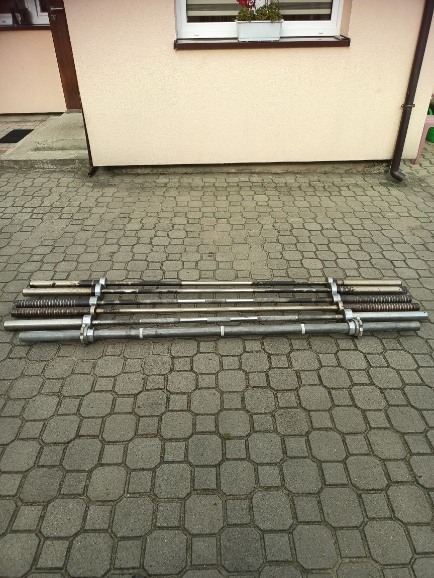 Gryf olimpijski Polsport Hes Wostok
