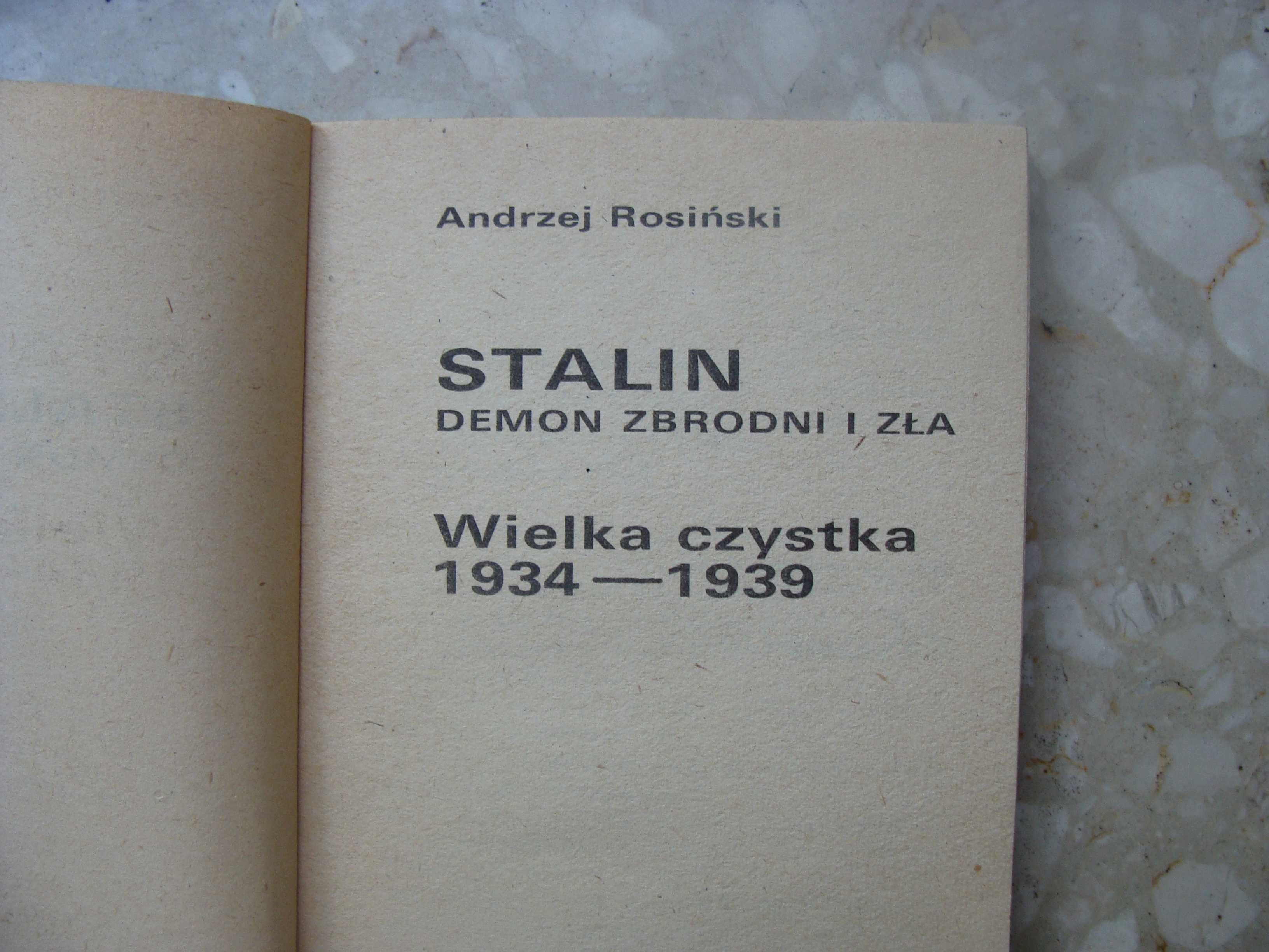 Stalin. Demon zbrodni i zła część 1 - Andrzej Rosiński